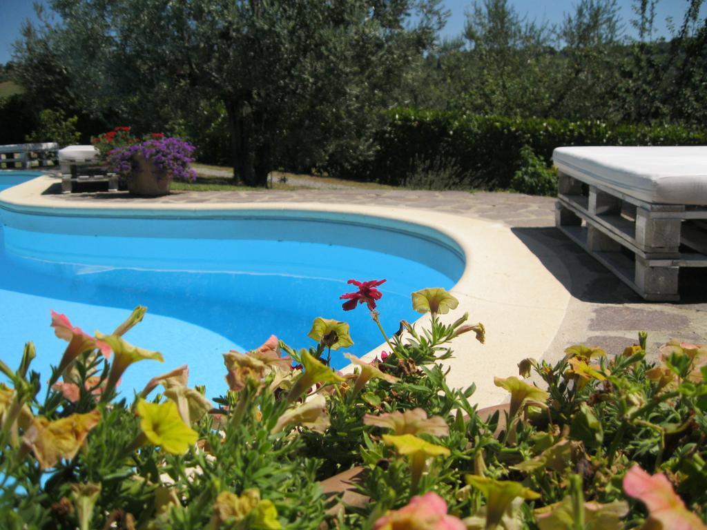 Oliveta Apartamento Tavarnelle Val di Pesa Habitación foto