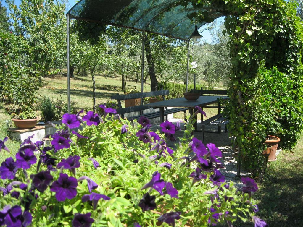 Oliveta Apartamento Tavarnelle Val di Pesa Habitación foto