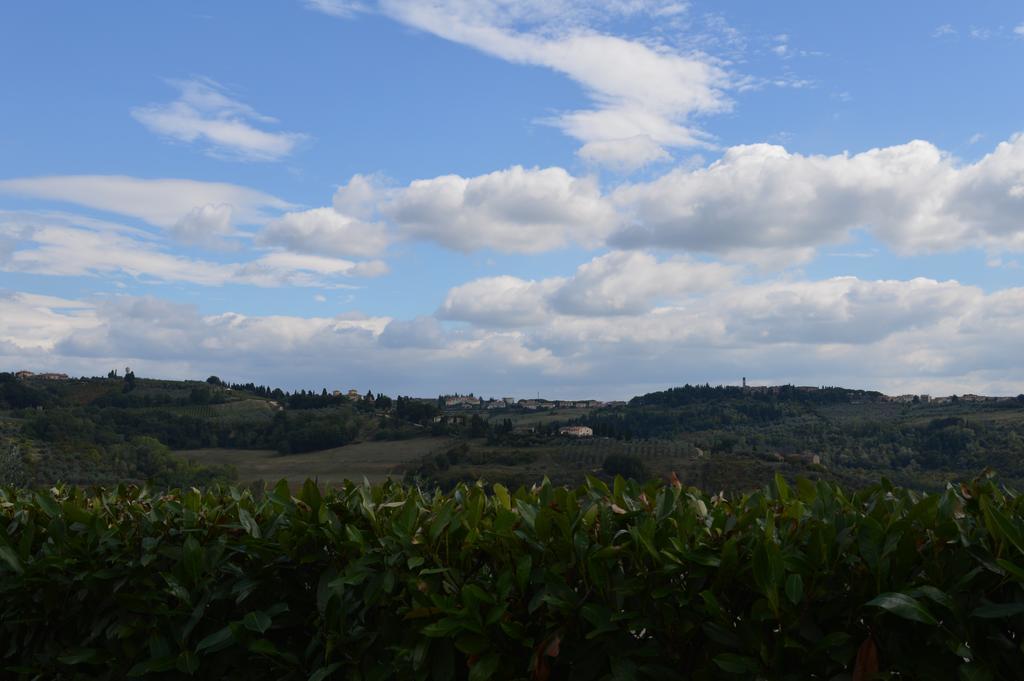 Oliveta Apartamento Tavarnelle Val di Pesa Habitación foto