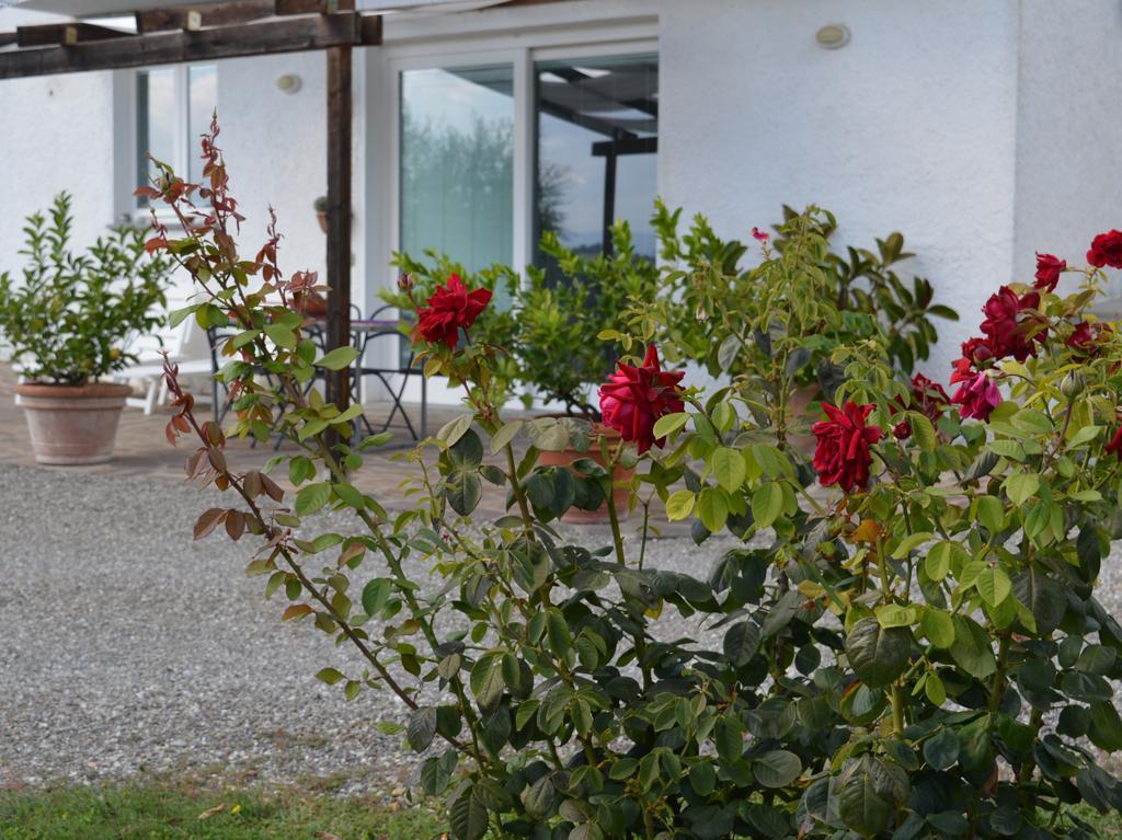 Oliveta Apartamento Tavarnelle Val di Pesa Habitación foto